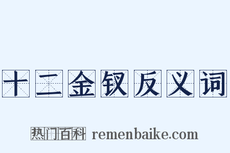 十二金钗反义词是什么意思的图片